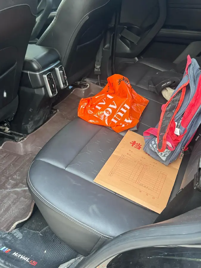 2024 Haval Dargo 2.0T 238HP L4 9DCT,autocango,china used car exporter,china ev exporter,chinese used car exporter,chinese used ev exporter