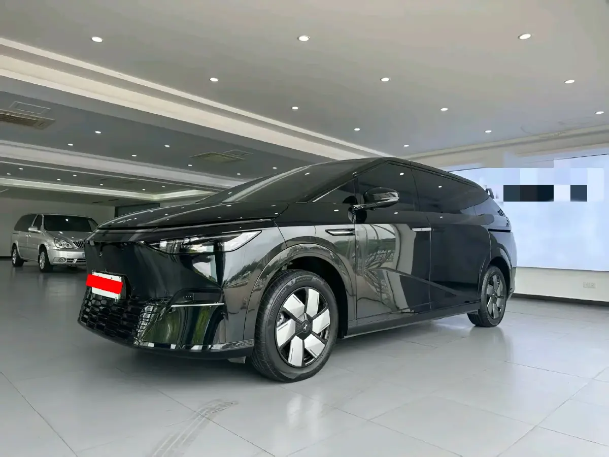 2024 Xpeng X9 BEV 101.5KWH