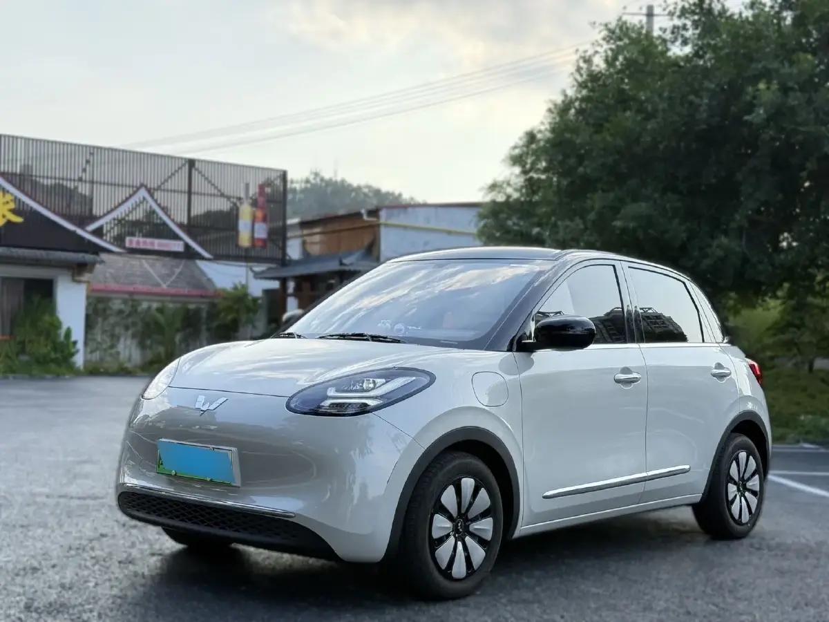 2023 WuLing BinGuo BEV 31.9KWH