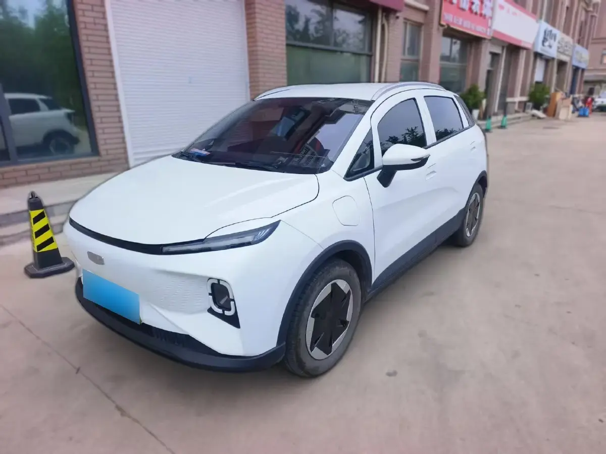 2024 Geometry E BEV 29.67KWH