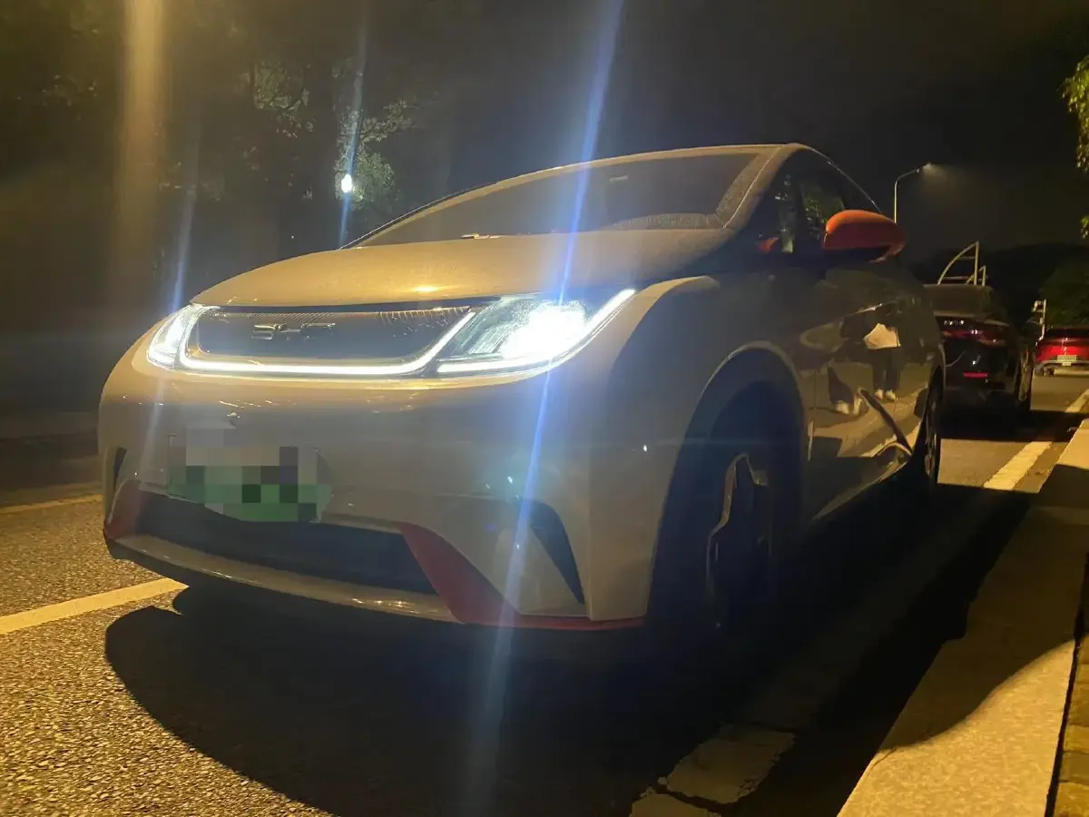 2021 BYD Dolphin BEV 44.9KWH