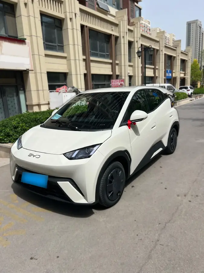 2025 BYD Seagull BEV 30.08KWH