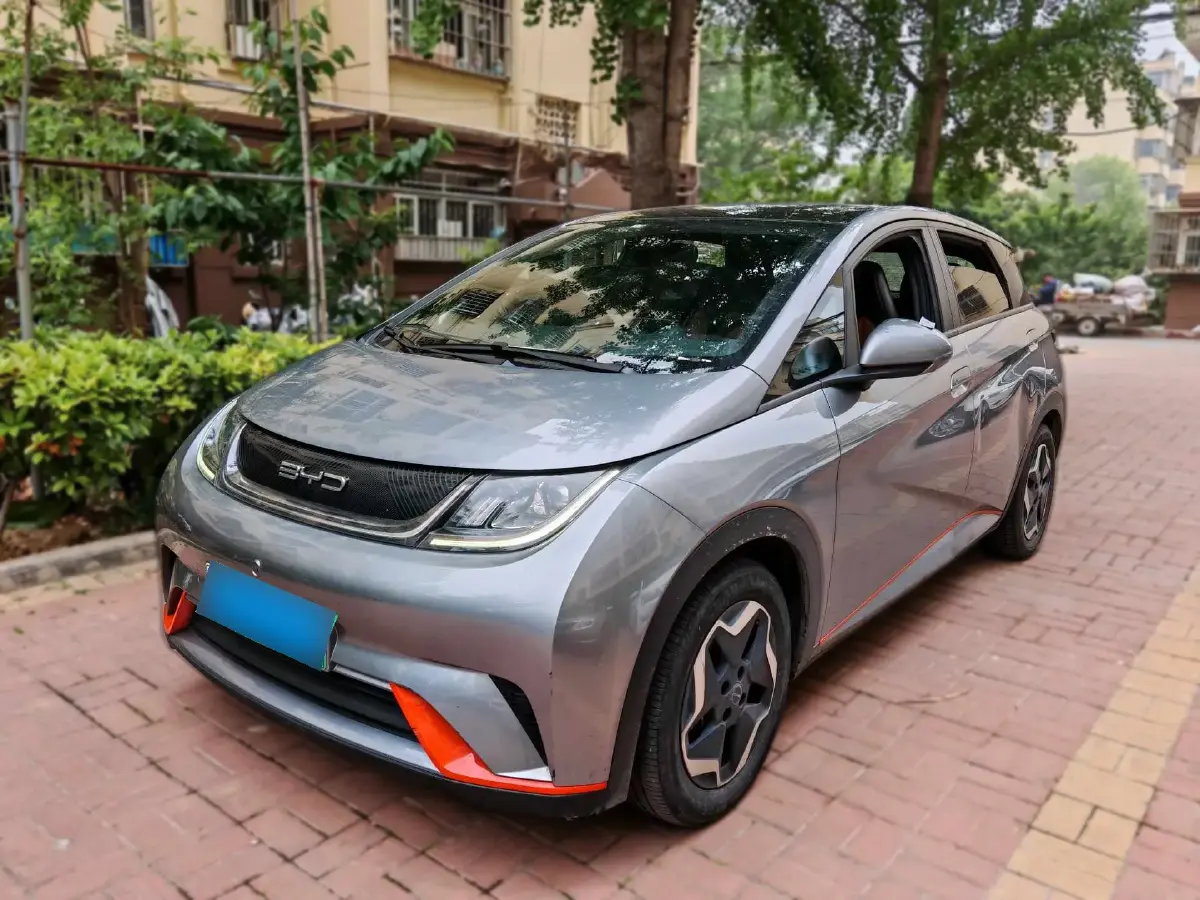 2021 BYD Dolphin BEV 44.9KWH