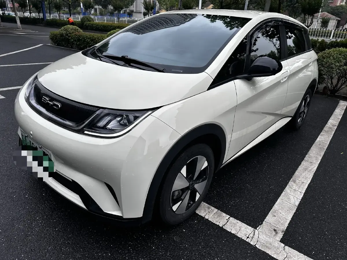 2024 BYD Dolphin BEV 44.928KWH