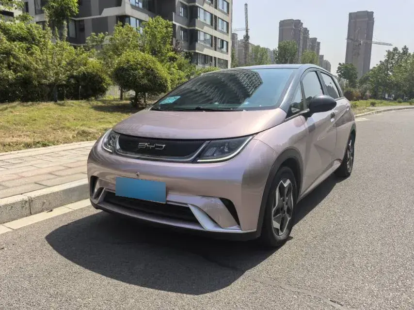 2023 BYD Dolphin BEV 44.928KWH