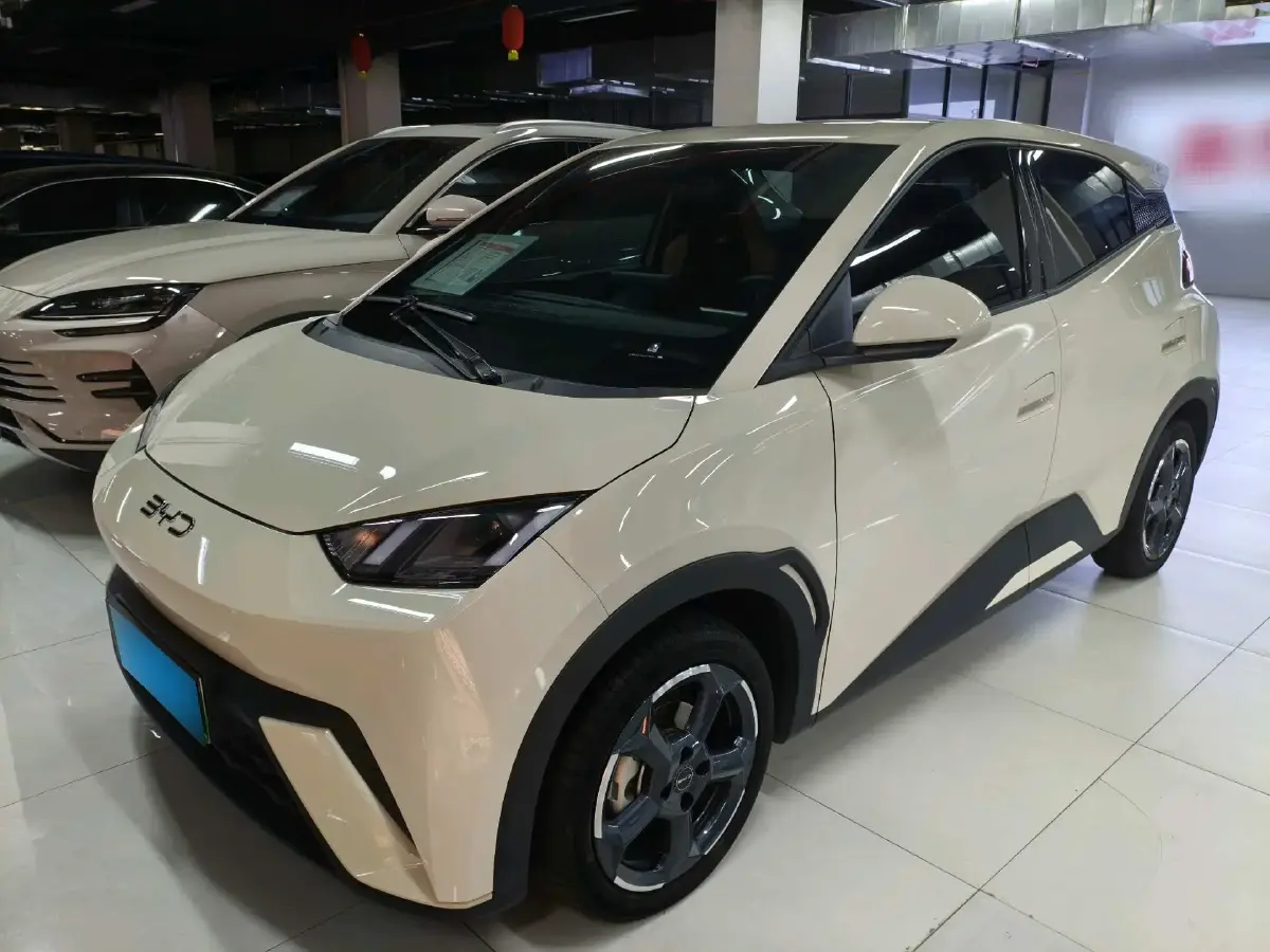 2024 BYD Seagull BEV 38.88KWH