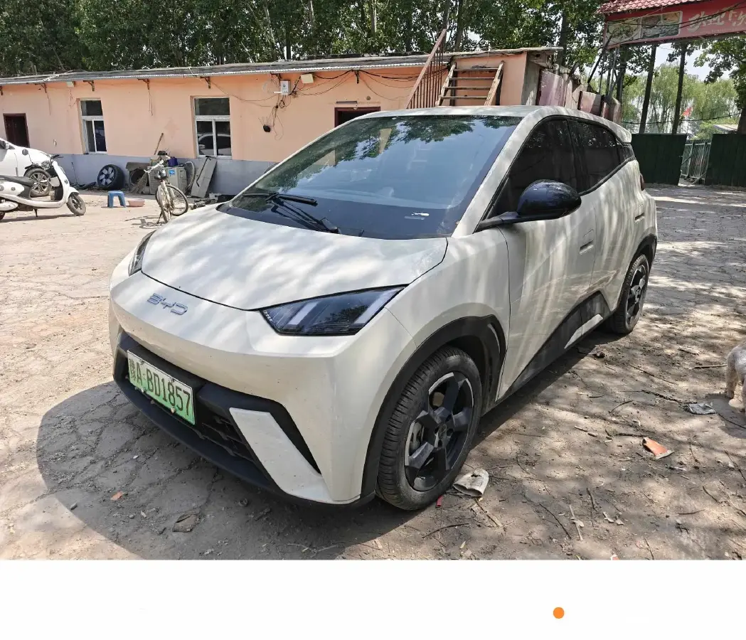 2023 BYD Dolphin BEV 44.928KWH
