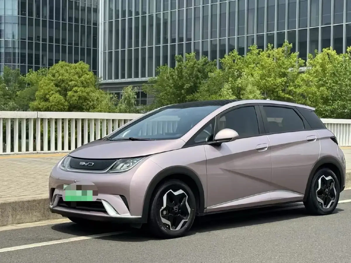 2021 BYD Dolphin BEV 44.9KWH