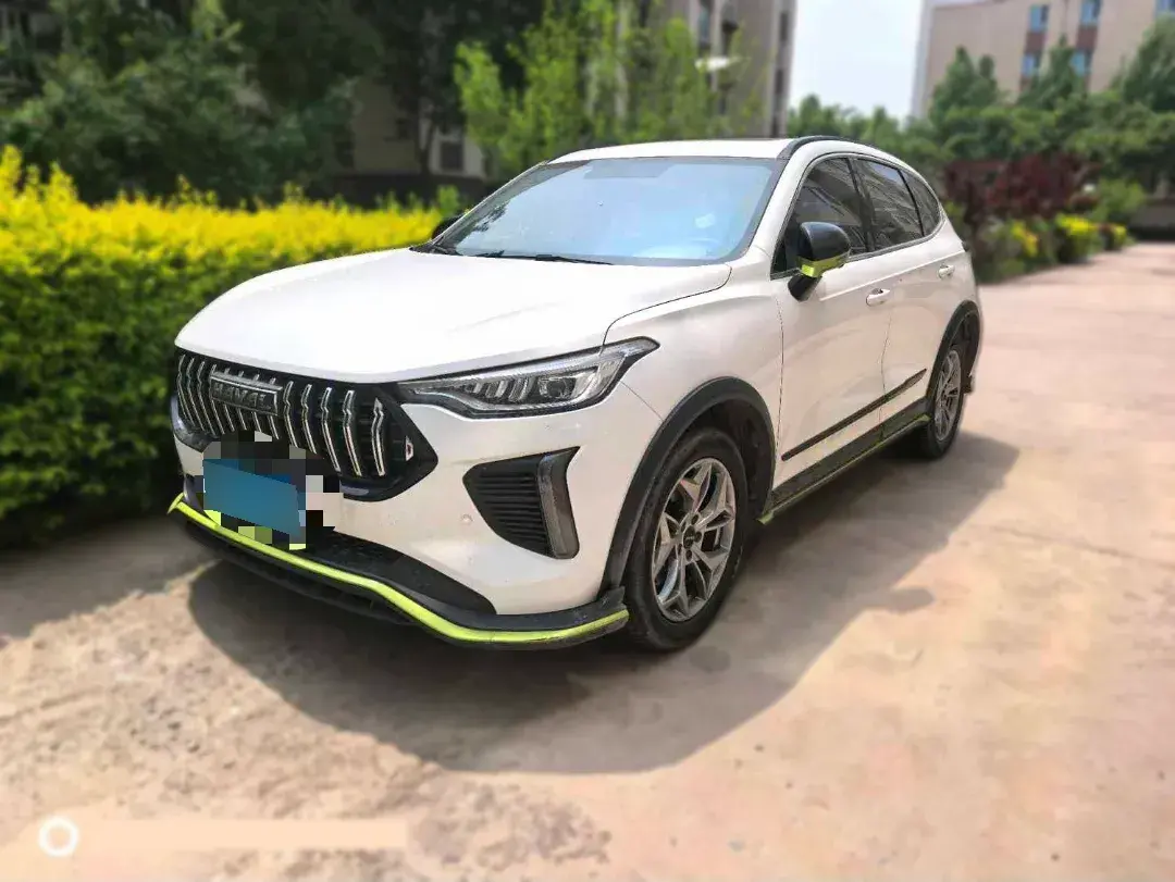 2022 Haval Rabbit 1.5T 150HP L4 7DCT