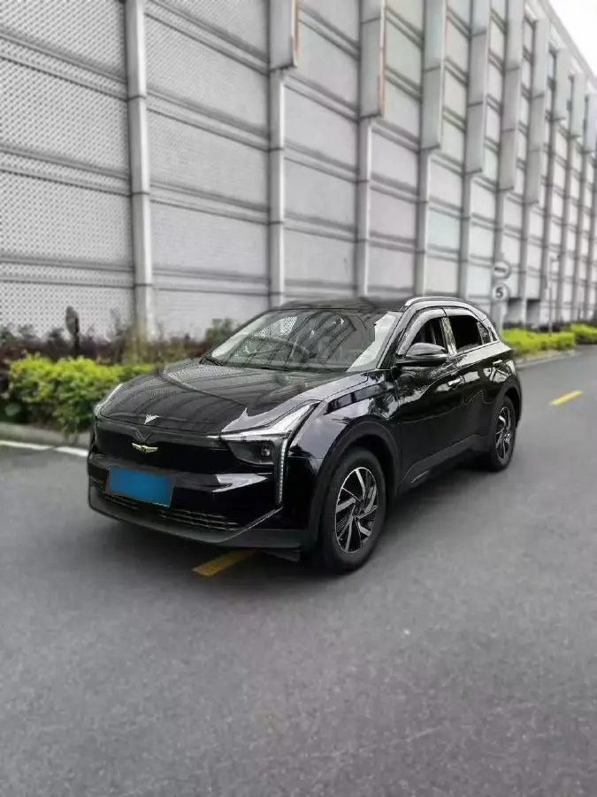 2021 Neta U BEV 56.03KWH