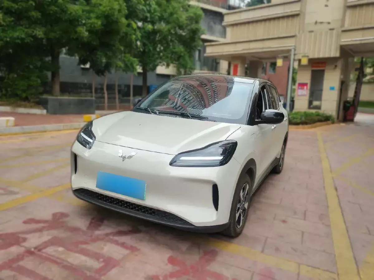 2024 WuLing BinGuoPLUS BEV 31.9KWH