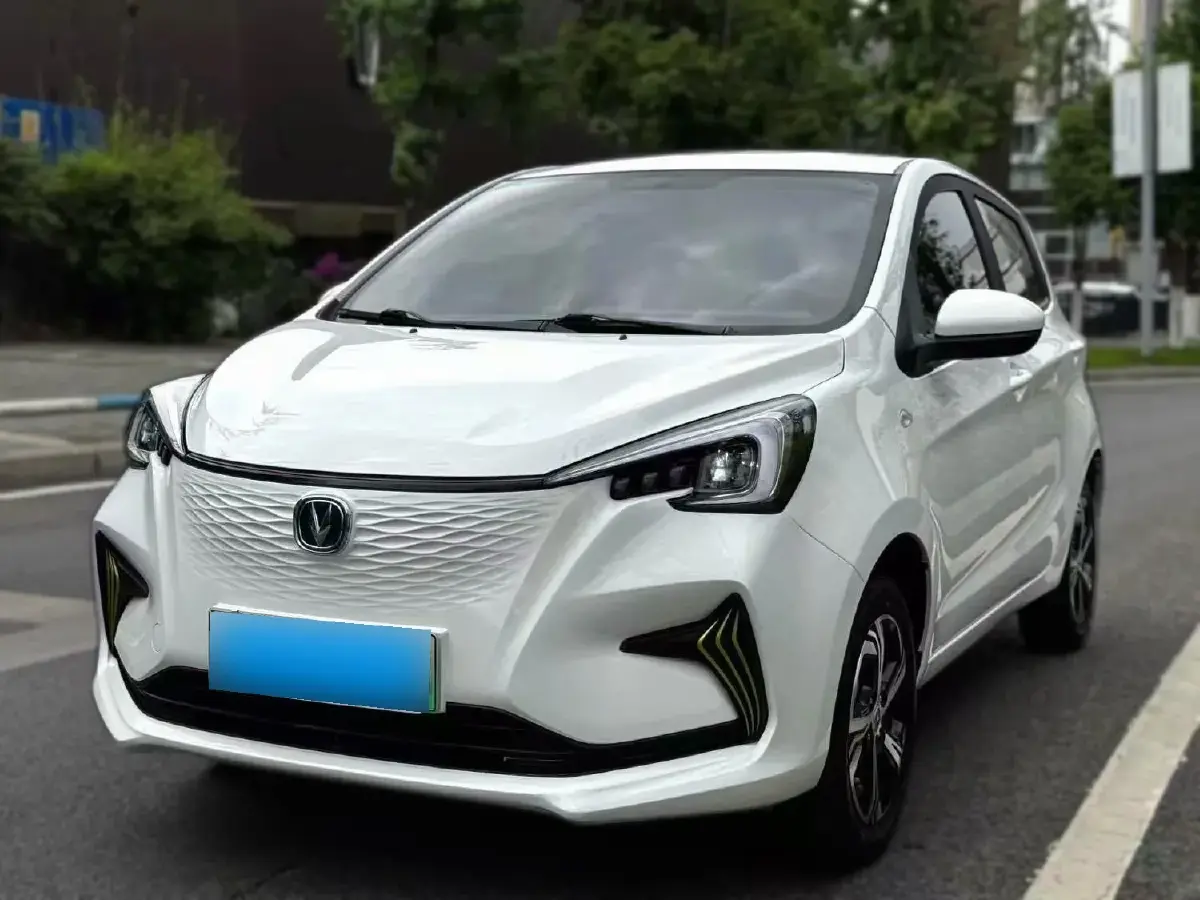 2023 ChangAn BenBen E-Star BEV 31.18KWH