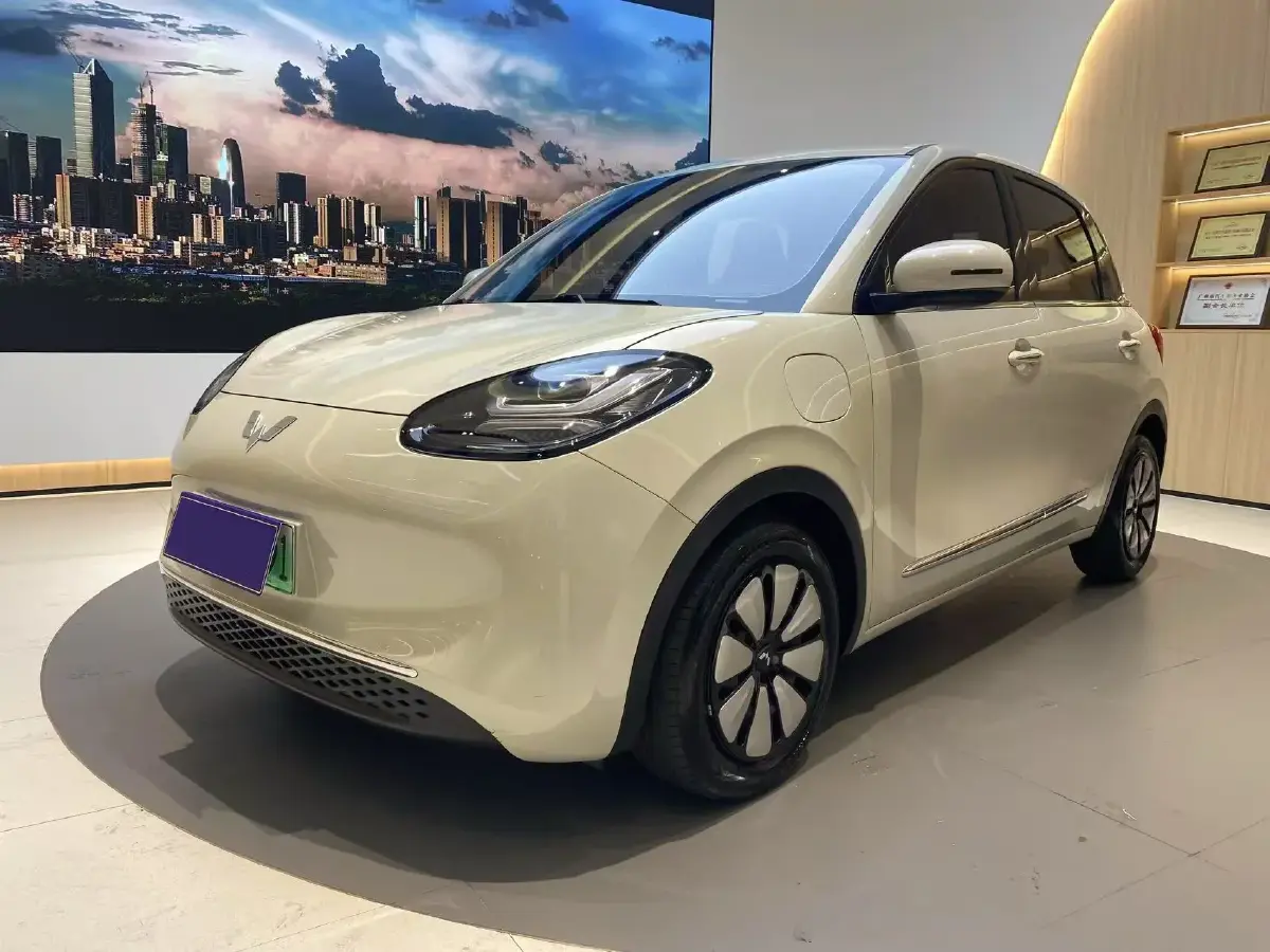 2023 WuLing BinGuo BEV 31.9KWH
