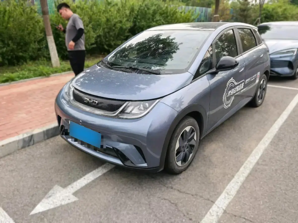2024 BYD Dolphin BEV 44.928KWH