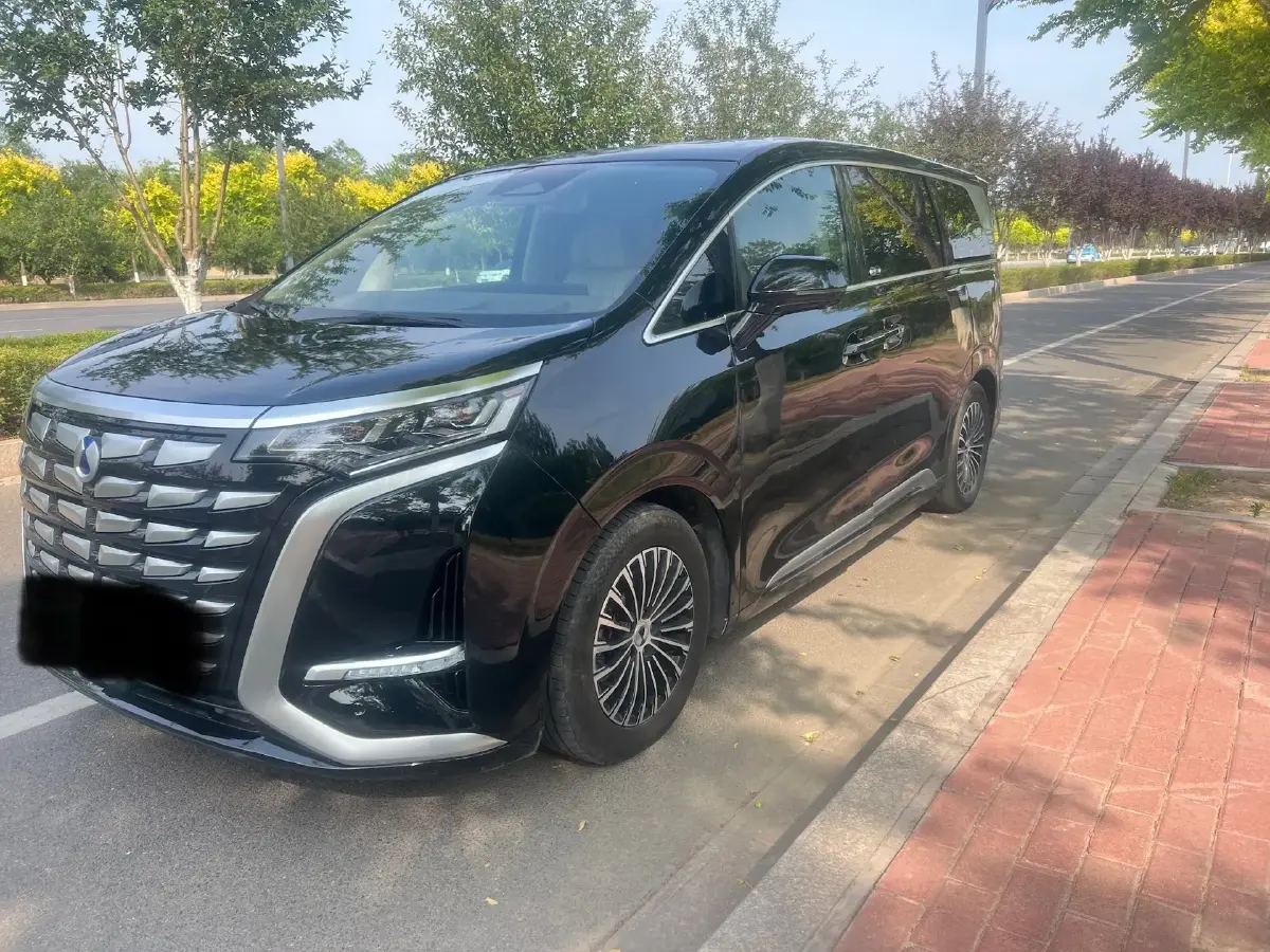 2022 Denza D9 1.5T 139HP L4 E-CVT PHEV 40.06KWH