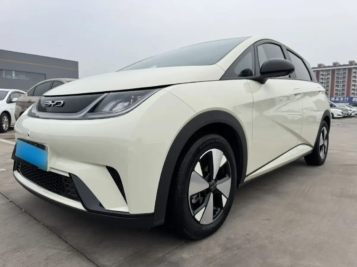 2023 BYD Dolphin BEV 44.928KWH