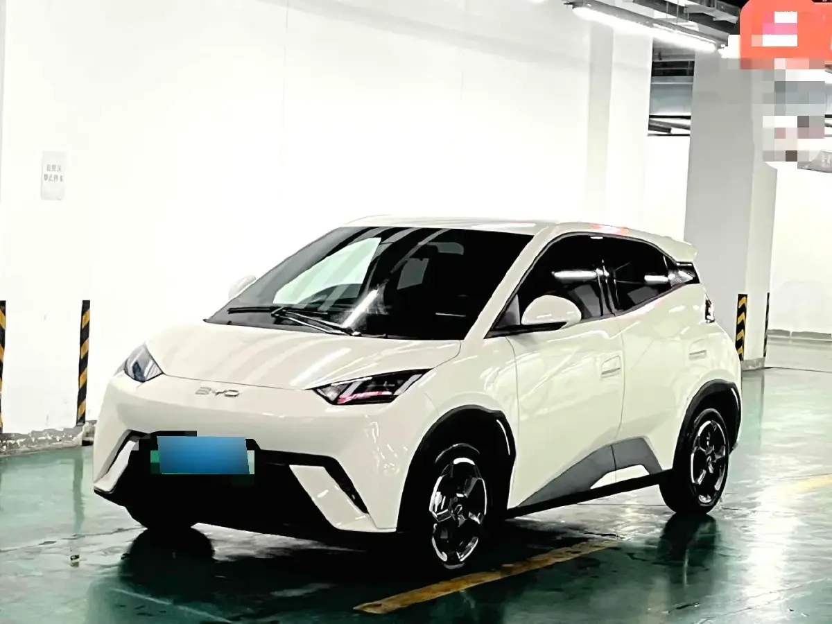 2024 BYD Seagull BEV 38.88KWH