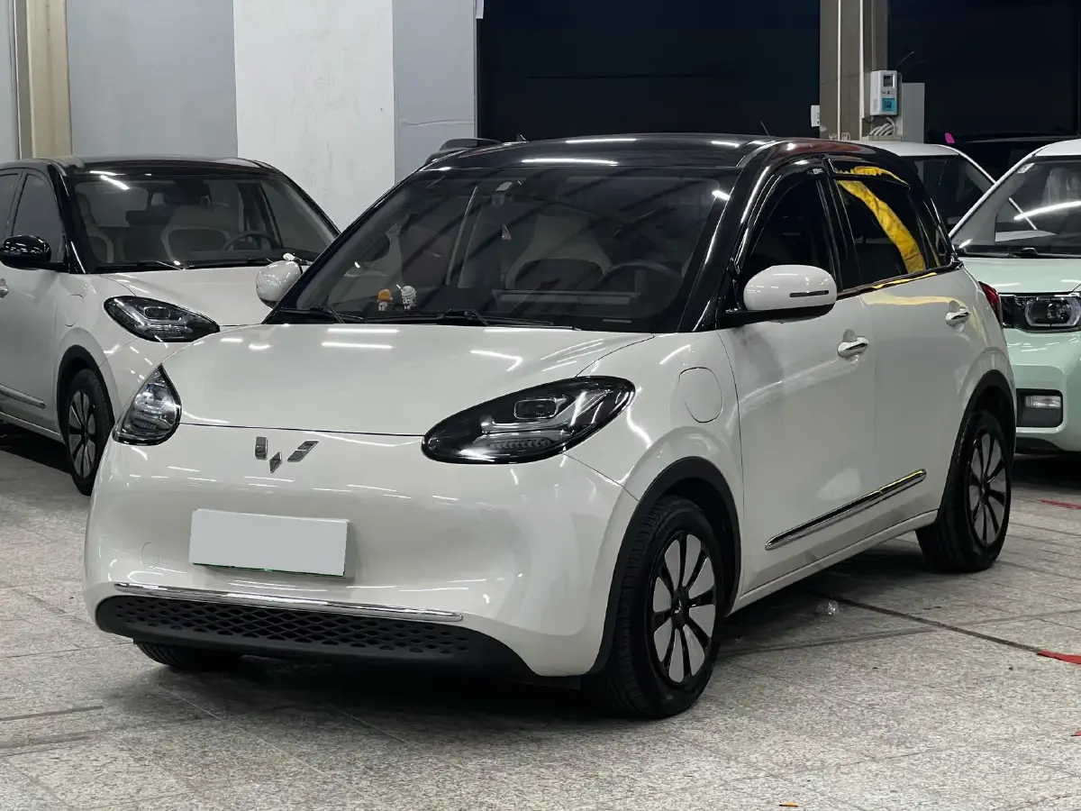 2023 WuLing BinGuo BEV 31.9KWH