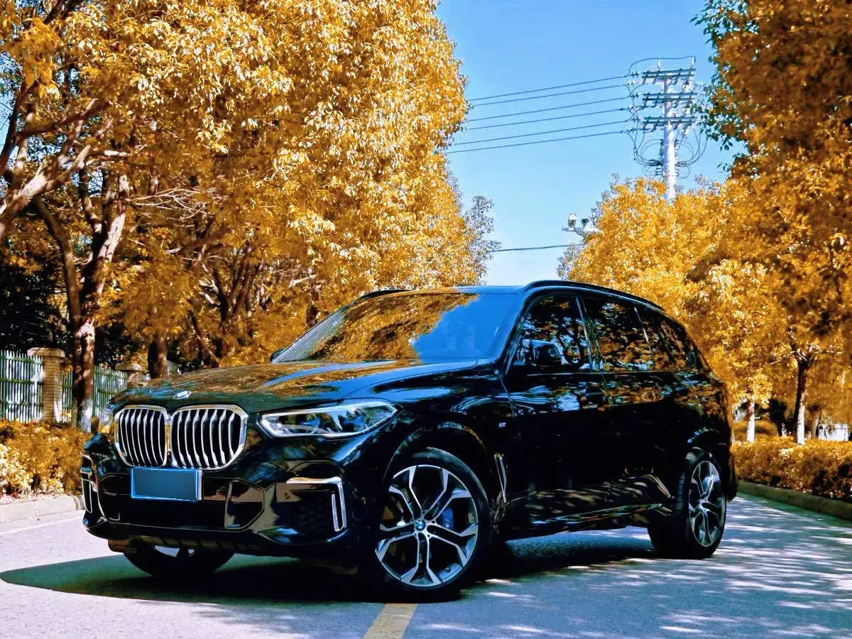 2022 BMW X5 3.0T 333HP L6 8AT