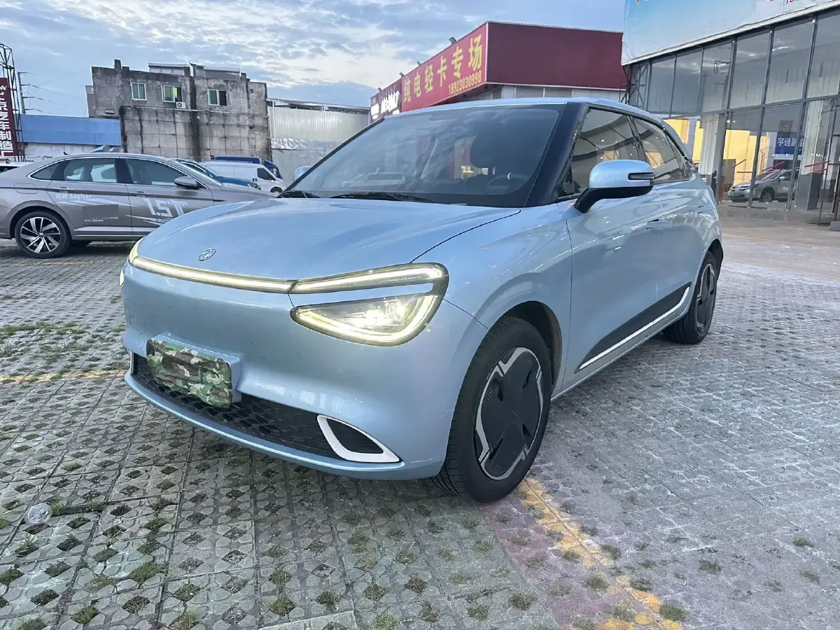 2024 DongFeng Nammi 01 BEV 42.3KWH