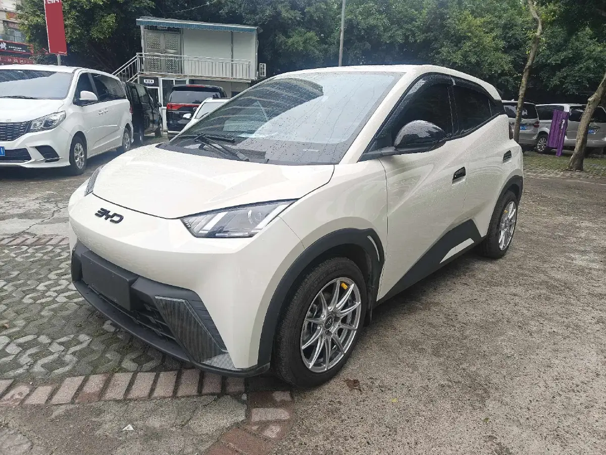 2024 BYD Seagull BEV 30.08KWH