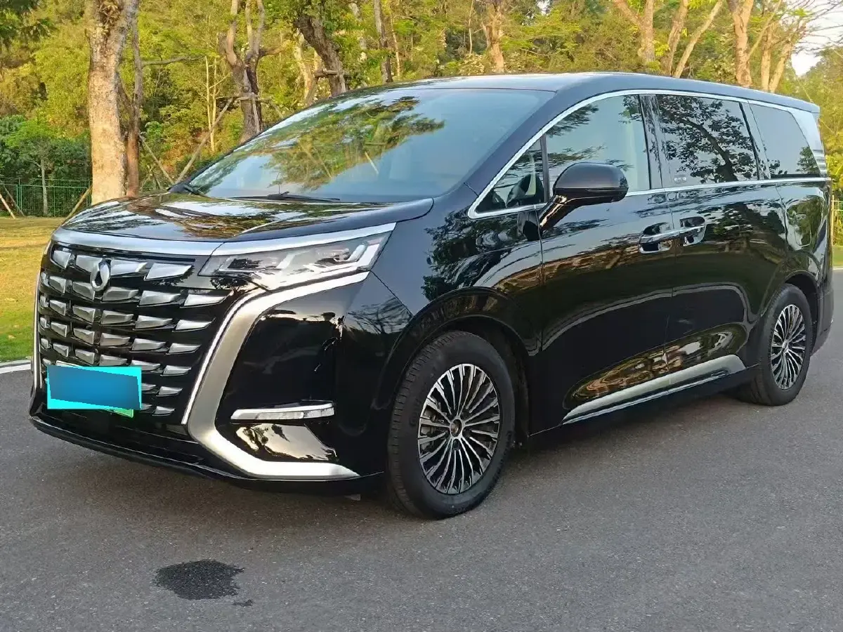 2022 Denza D9 1.5T 139HP L4 E-CVT PHEV 40.06KWH