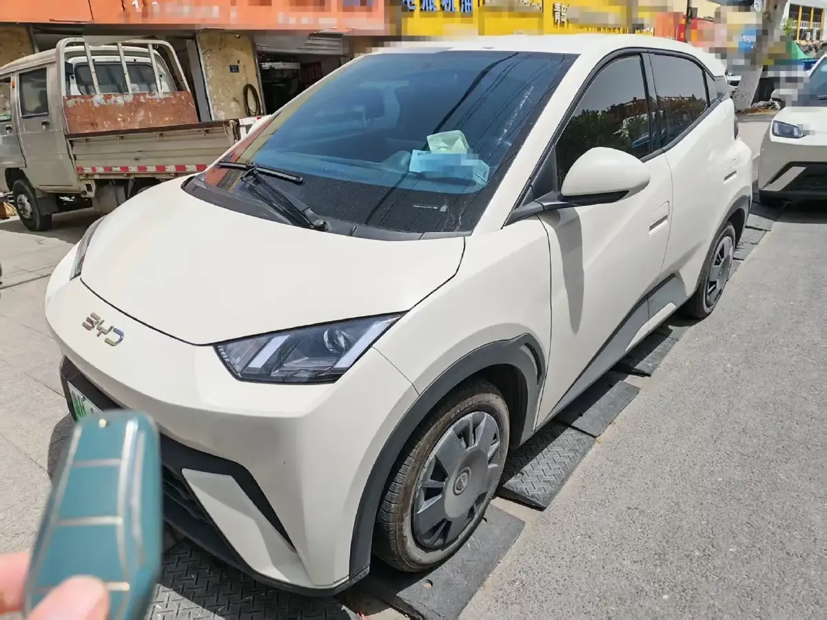 2024 BYD Seagull BEV 30.08KWH
