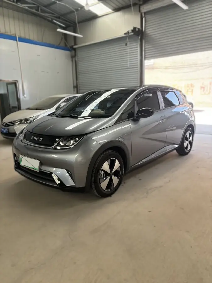 2023 BYD Dolphin BEV 44.928KWH