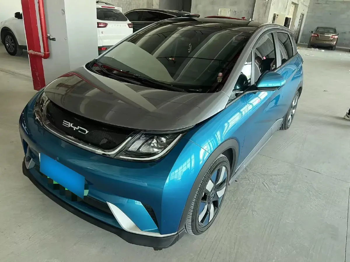 2021 BYD Dolphin BEV 44.9KWH