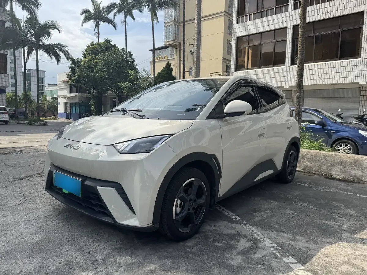 2024 BYD Seagull BEV 30.08KWH