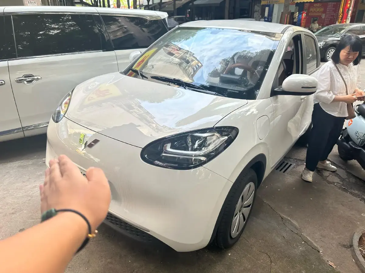 2024 WuLing BinGuo BEV 17.3KWH