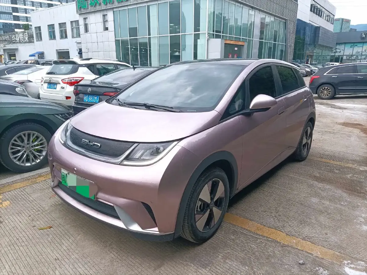 2023 BYD Dolphin BEV 44.928KWH