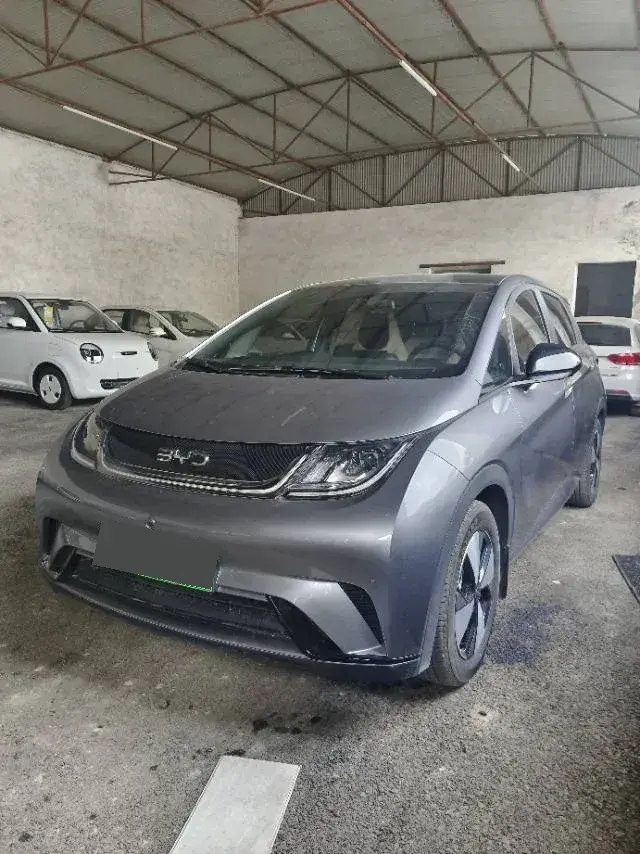 2023 BYD Dolphin BEV 44.928KWH