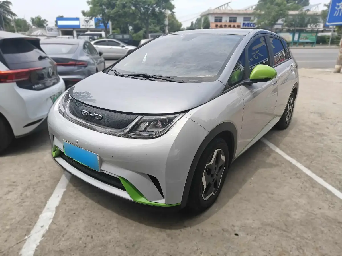 2021 BYD Dolphin BEV 44.9KWH