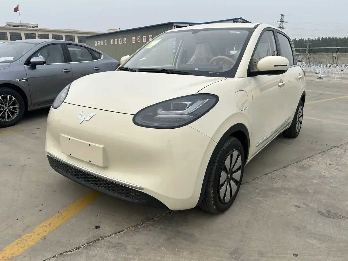 2025 WuLing BinGuo BEV