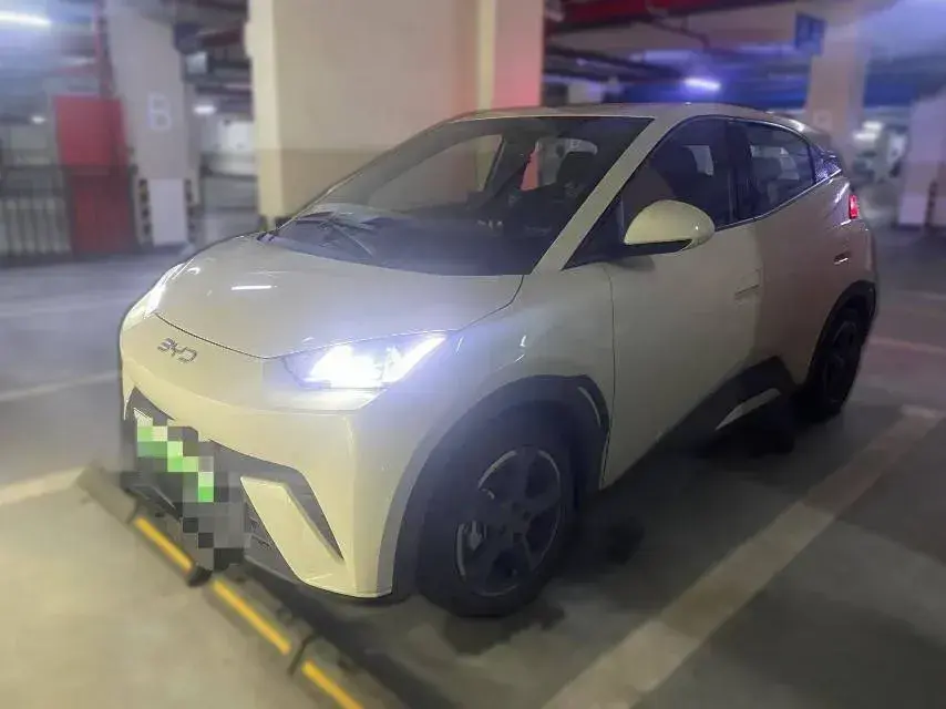 2024 BYD Seagull BEV 30.08KWH