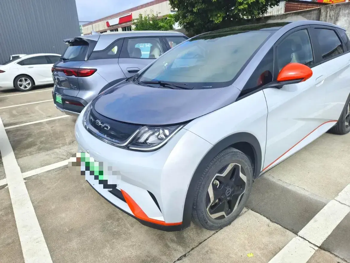 2021 BYD Dolphin BEV 44.9KWH