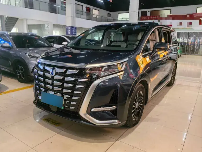 2022 Denza D9 1.5T 139HP L4 E-CVT PHEV 40.06KWH