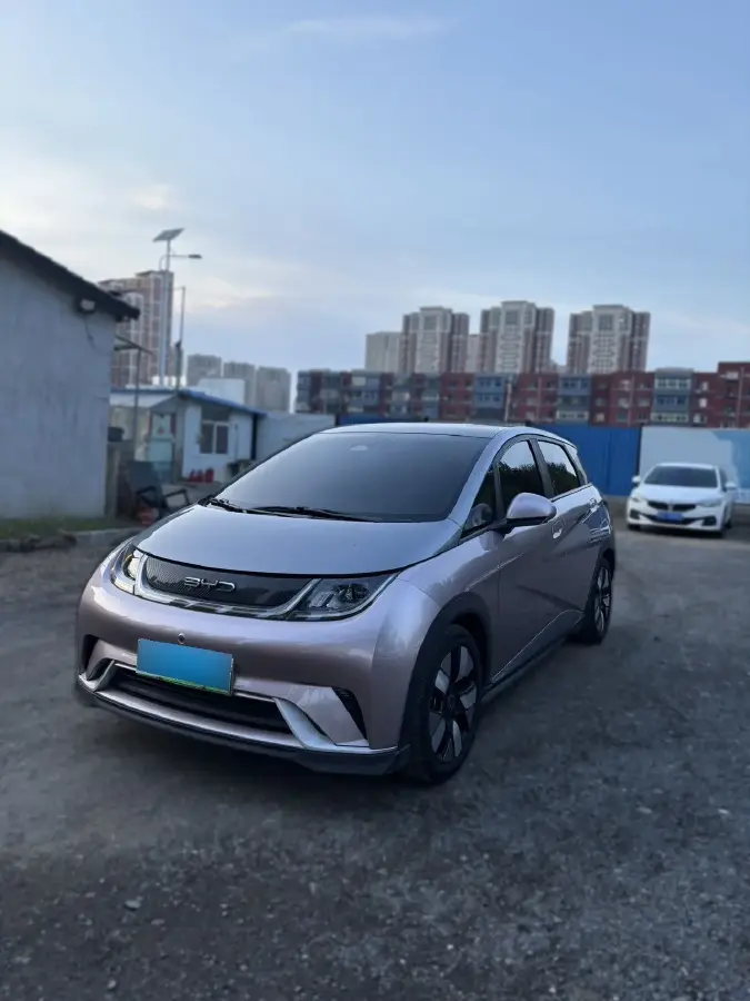 2021 BYD Dolphin BEV 44.9KWH