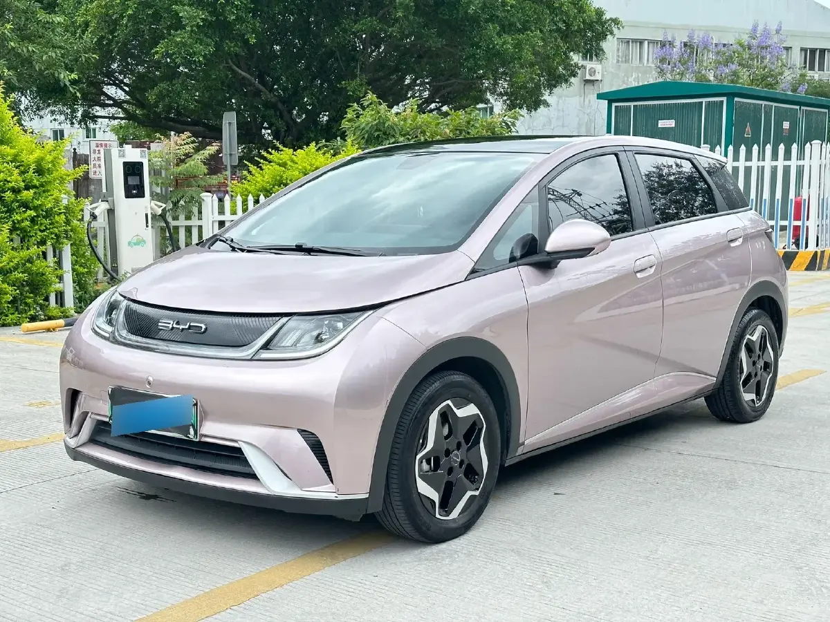 2021 BYD Dolphin BEV 44.9KWH