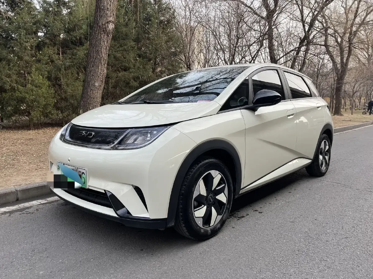 2024 BYD Dolphin BEV 44.928KWH