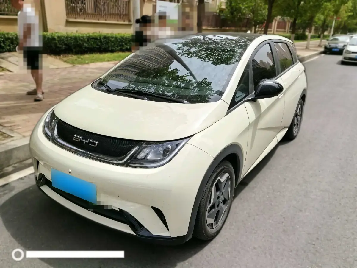 2021 BYD Dolphin BEV 44.9KWH