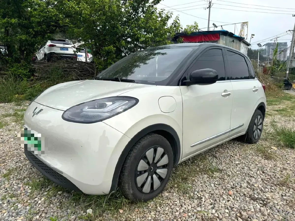 2023 WuLing BinGuo BEV 37.9KWH