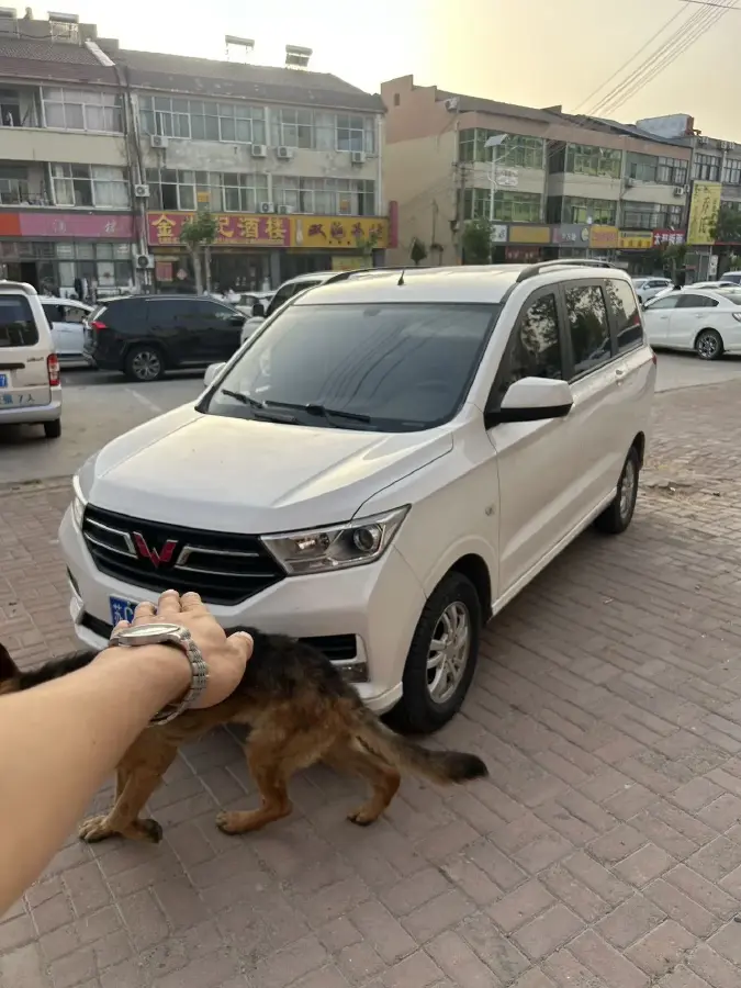 2021 WuLing HongGuang 1.5L 99HP L4 6MT