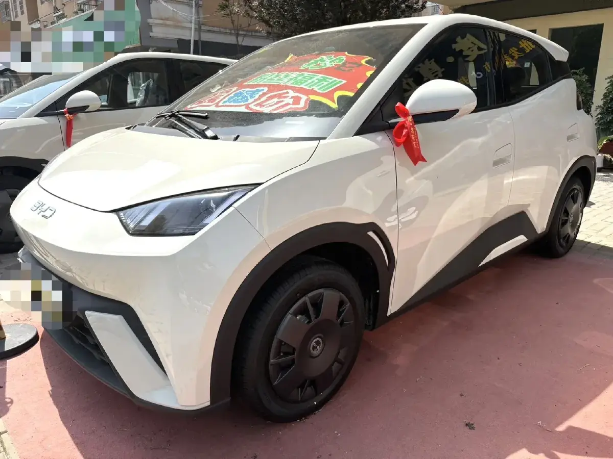 2024 BYD Seagull BEV 30.08KWH