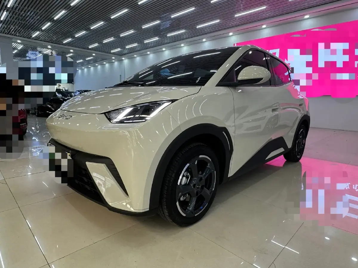 2024 BYD Seagull BEV 30.08KWH