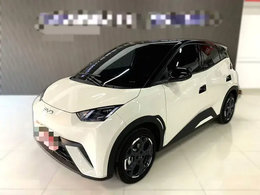 2025 BYD Seagull BEV 30.08KWH