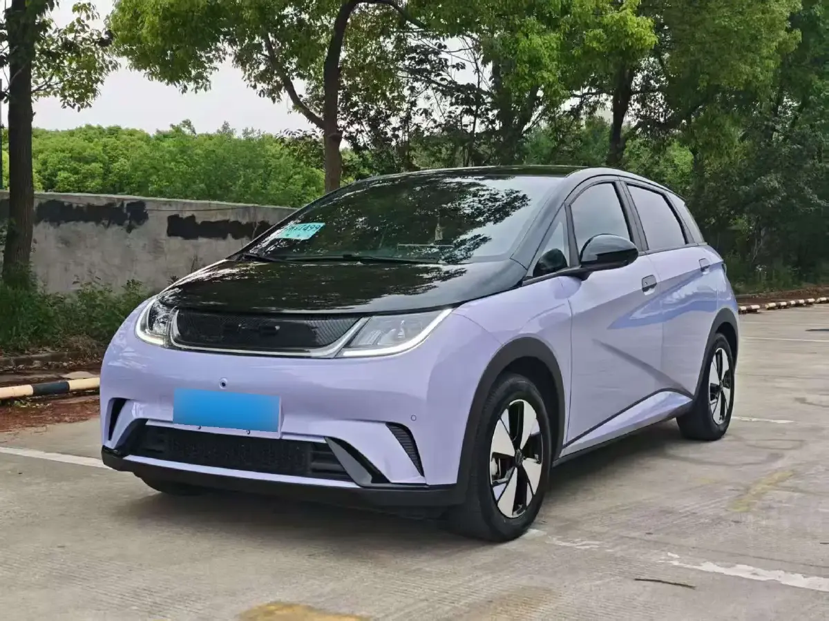 2023 BYD Dolphin BEV 44.928KWH