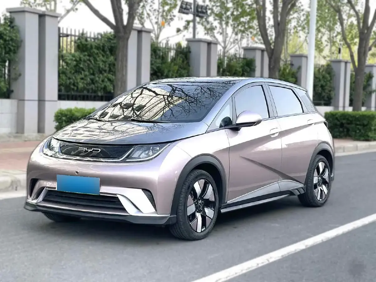 2021 BYD Dolphin BEV 44.9KWH