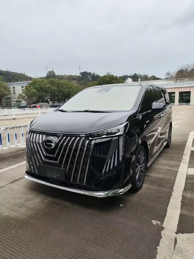 2024 GAC Trumpchi M8 2.0T 252HP L4 8AT